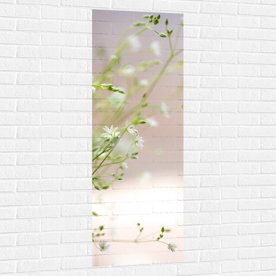 Muursticker - Bloemen - Planten - Natuur - Groen - Wit - 50x150 cm Foto op Muursticker