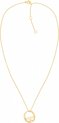 Tommy Hilfiger TJ2780324 Dames Ketting