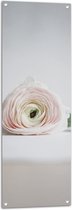 Tuinposter – Bloem - Liggend - Wit - Roze - 40x120 cm Foto op Tuinposter (wanddecoratie voor buiten en binnen)