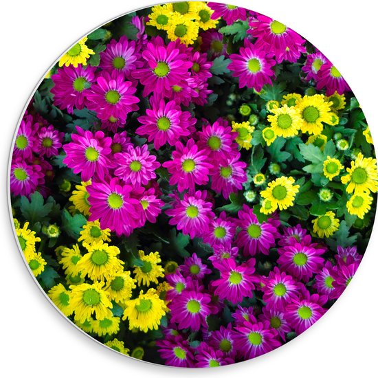 PVC Schuimplaat Muurcirkel - Bloemen - Kleuren - Bladeren - Natuur - Geel - Paars - 30x30 cm Foto op Muurcirkel (met ophangsysteem)
