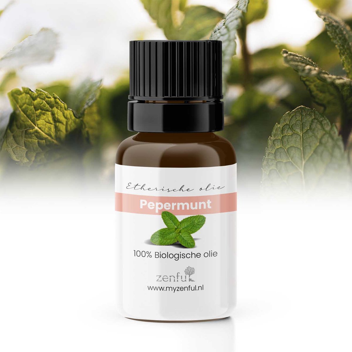 Goedkoopste Pepermuntolie - Bio - Puur - Natuurlijk - Essentiële olie - 10 ml