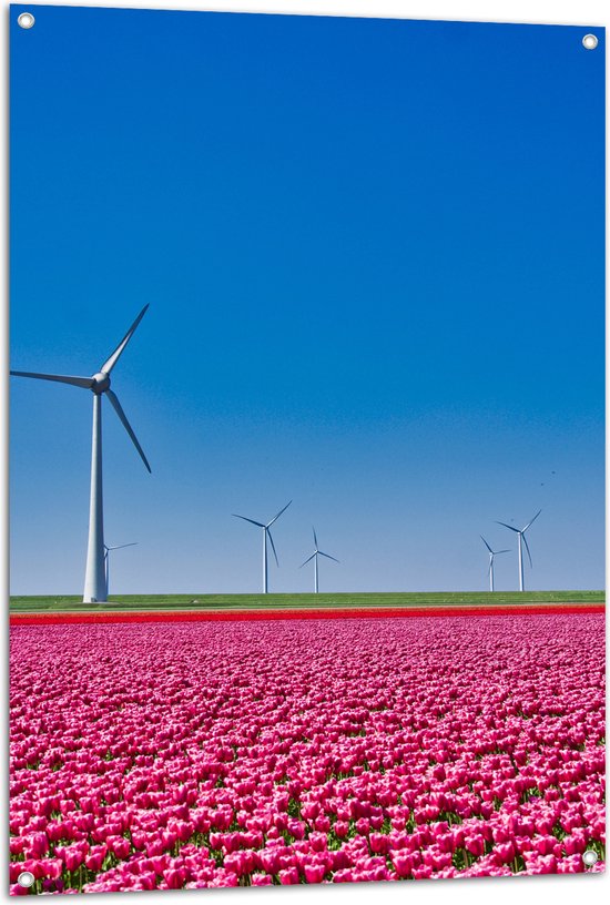 Tuinposter – Bloemen - Bloemenveld - Tulpen - Landschap - Windmolens - Nederland - Kleuren - 80x120 cm Foto op Tuinposter (wanddecoratie voor buiten en binnen)