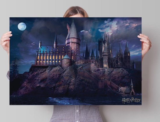 Harry Potter Hogwarts - Poster 91.5 x 61 cm | bol