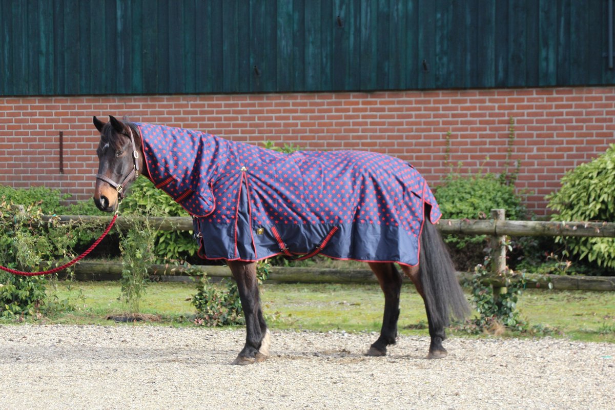 MHS Regendeken Dream 100 gram met vaste hals