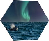 Dibond Hexagon - Noorderlicht boven Orka in de Zee - 70x60.9 cm Foto op Hexagon (Met Ophangsysteem)