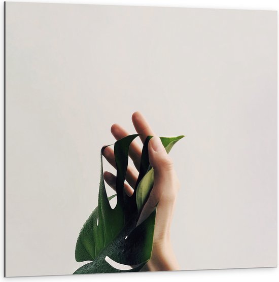 Dibond - Blad - Tropisch - Hand - Aanraking - 100x100 cm Foto op Aluminium (Met Ophangsysteem)