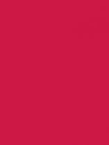 Bluuming Affairs - Universeel Roze Behang - Behangpapier - Kinderkamer - 0,53 x 10,05 M.
