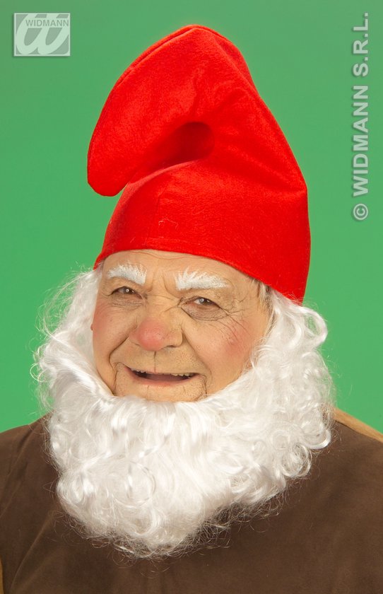 Een man met een rood kaboutermutje, witte baard en wenkbrauwen tegen een groene achtergrond.