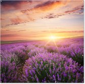 Tuinposter - Bloemen - Lavendel - Zon - Wanddecoratie - 200x200 cm - Tuindoek - Muurdecoratie