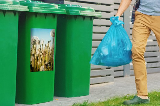 Autocollant pour conteneur Fleurs - Pissenlit - Pelouse - 40x60 cm - Autocollant Kliko