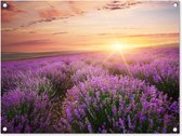 Tuinposter - Bloemen - Lavendel - Zon - Wanddecoratie - 80x60 cm - Tuindoek - Muurdecoratie
