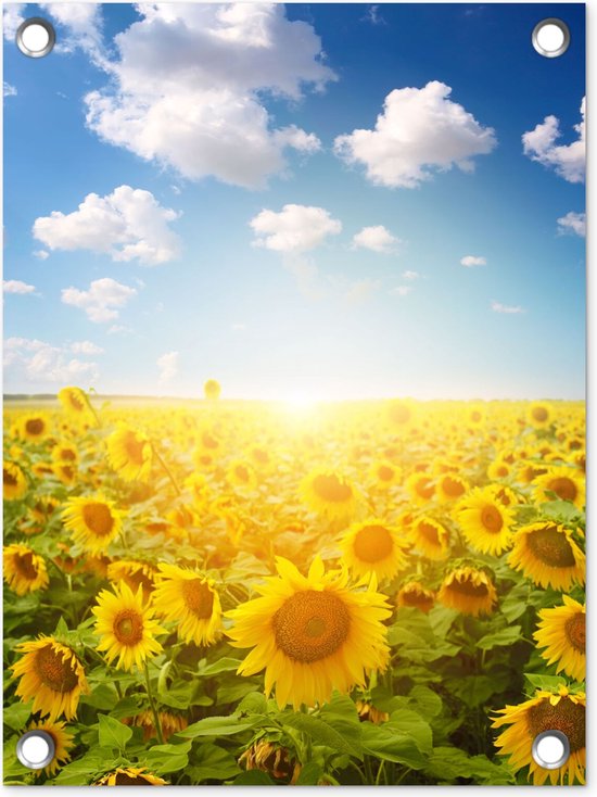 Tuinposter Zon Zonnebloemen Tuin Natuur 30x40 Cm Tuindoek Muurdecoratie Bol