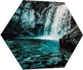 Dibond Hexagon - Water - Waterval - Takken - Stenen - Blauw - 70x60.9 cm Foto op Hexagon (Met Ophangsysteem)
