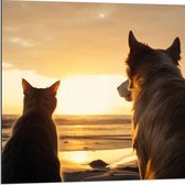 Dibond - Hond en Kat Kijkend naar de Ondergaande Zon - 80x80 cm Foto op Aluminium (Met Ophangsysteem)
