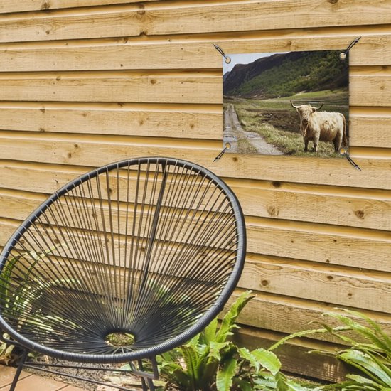 Décoration de Jardin Highlander écossais - Chemin - Forêt - 40x30 cm - Toile de jardin - Poster extérieur
