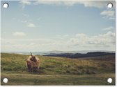 Tuin decoratie Schotse Hooglanders - Gras - Wolken - Dieren - 40x30 cm - Tuindoek - Buitenposter