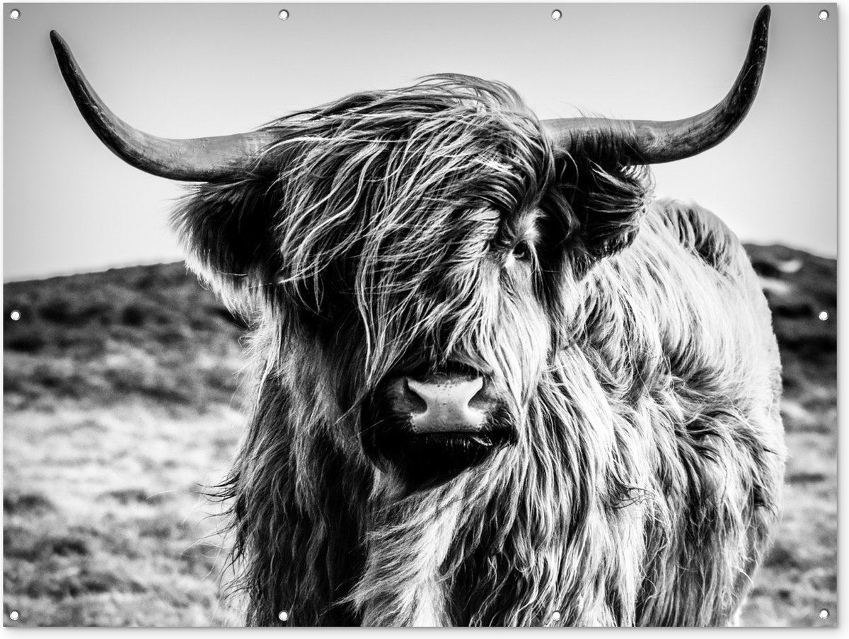 Affiche de jardin Highlander écossais Nature Vache Zwart Wit