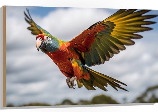 Hout - Ara papegaai vliegt rond over bomen heen - 105x70 cm - 9 mm dik
