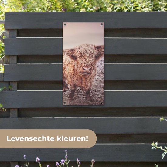 Poster de jardin Highlanders écossais - Lumière - Air - Nature - 40x80 cm - Décoration murale Outdoor - Poster de jardin - Toile de jardin - Poster de clôture - Tableau de jardin