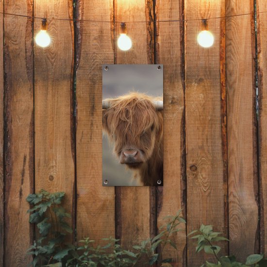 Affiche de jardin Highlander écossais - Cornes - Cheveux - 30x60 cm - Toile de jardin - Affiche extérieure