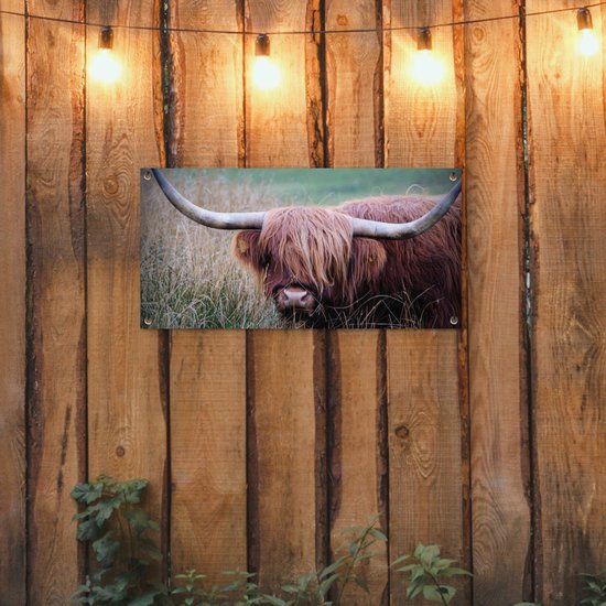 Tuinposter 80x40 cm - Tuindecoratie Schotse Hooglander - Hoorns - Gras - Poster voor in de tuin - Buiten decoratie - Schutting tuinschilderij - Tuindoek muurdecoratie - Wanddecoratie balkondoek