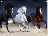 Tuinschilderij Paarden - Dieren - Zand - 80x60 cm - Tuinposter - Tuindoek - Buitenposter