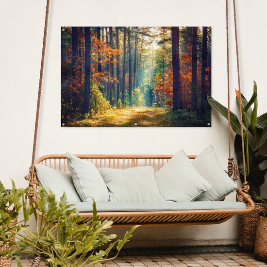 Affiche jardin - Toile jardin - Affiches jardin extérieur - Forêt - Soleil - Nature - Automne - Posters de jardin cm - Jardin