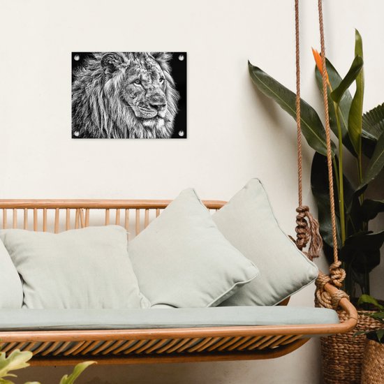 Affiche de jardin Lion en hiver 60x40 cm - Photo sur affiche de jardin / Peintures pour l'extérieur (décoration de jardin)
