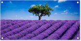 Tuinposter Een close-up van een lavendelveld - 80x40 cm - Wanddecoratie Buiten - Tuinposter - Tuindoek - Schuttingposter - Tuinschilderij