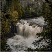 Poster (Mat) - Waterval - Water - Bomen - Bossen - Kleuren - 50x50 cm Foto op Posterpapier met een Matte look