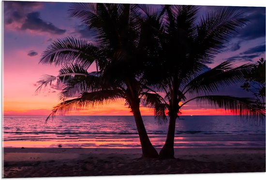 Acrylglas - Twee Palmbomen op het Strand langs de Zee bij Zonsondergang - 105x70 cm Foto op Acrylglas (Met Ophangsysteem)