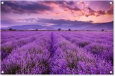 Tuinposters buiten Lavendel - Paars - Bloemen - Veld - 90x60 cm - Tuindoek - Buitenposter