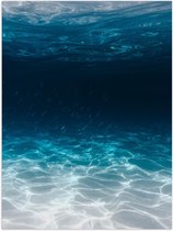 Poster Glanzend – Zee - Oceaan - Onderwater - Onderwaterleven - Schol - Vissen - Dieren - 30x40 cm Foto op Posterpapier met Glanzende Afwerking