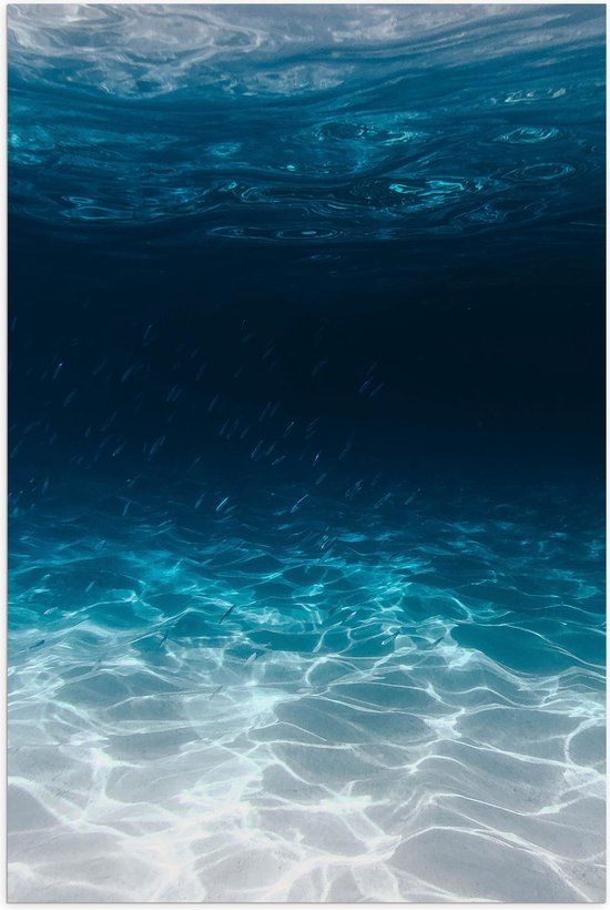Poster (Mat) - Zee - Oceaan - Onderwater - Onderwaterleven - Schol - Vissen - Dieren - 50x75 cm Foto op Posterpapier met een Matte look