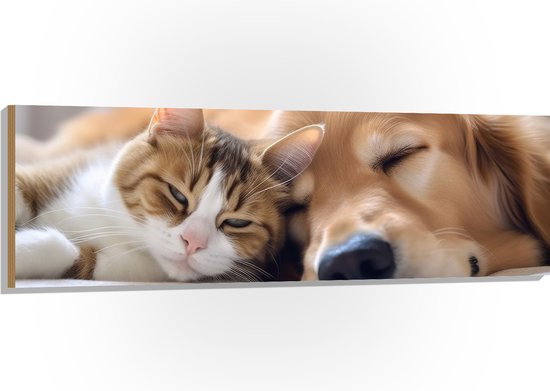 Hout - Hond en kat liggen tegen elkaar aan te slapen - 150x50 cm - 9 mm dik - Foto op Hout (Met Ophangsysteem)
