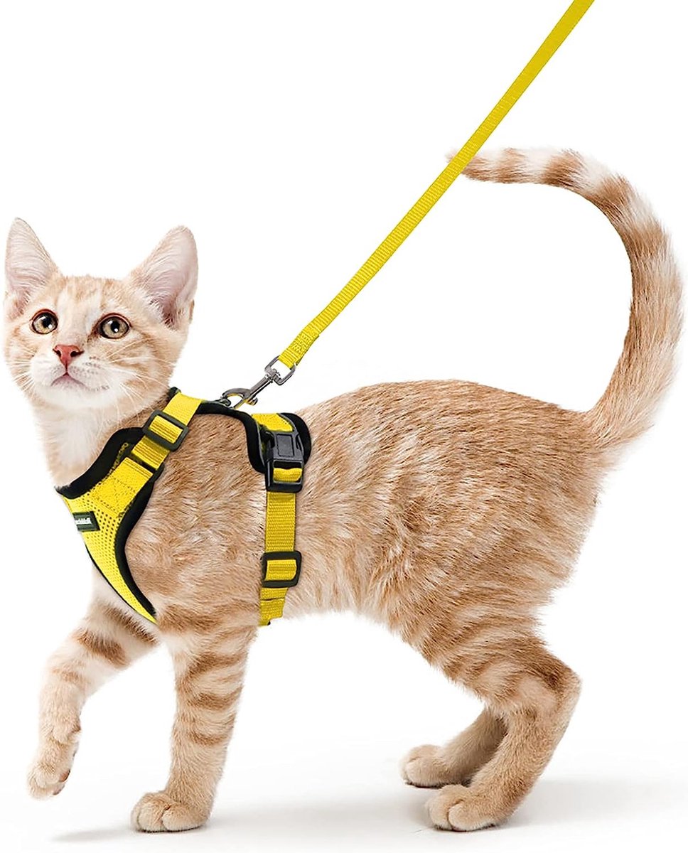 Kattenharnas met riem Zacht harnas voor kat Borstharnas Kattenharnas Kattenset Escape-Proof Verstelbaar Kattenvest Geel S