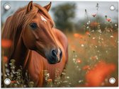 Tuinposter – Bruin paard staat in weiland met rode klaprozen - 40x30 cm Foto op Tuinposter (wanddecoratie voor buiten en binnen)