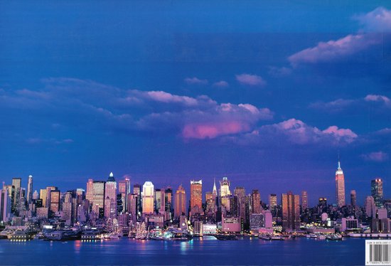 New York, New York, Richard Berenholtz | 9780847824977 | Boeken | bol
