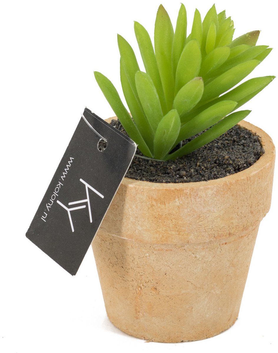 homebound by ky Cactus kunst in potje | kunstplant Groen