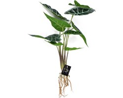 Alocasia kunstplant zonder pot