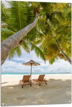 Tuinposter – Schuingroeiende Palmboom boven Ligbedden en Parasol op het Strand - 80x120 cm Foto op Tuinposter (wanddecoratie voor buiten en binnen)