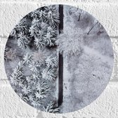 Muursticker Cirkel - Pad - Boog - Bloemen - Planten - Bomen - 20x20 cm Foto op Muursticker