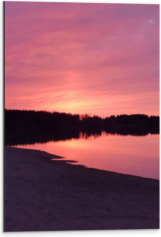 Dibond - Landschap - Strandje - Meer - Bomen - Bossen - Zand - Water - Roze - 40x60 cm Foto op Aluminium (Wanddecoratie van metaal)