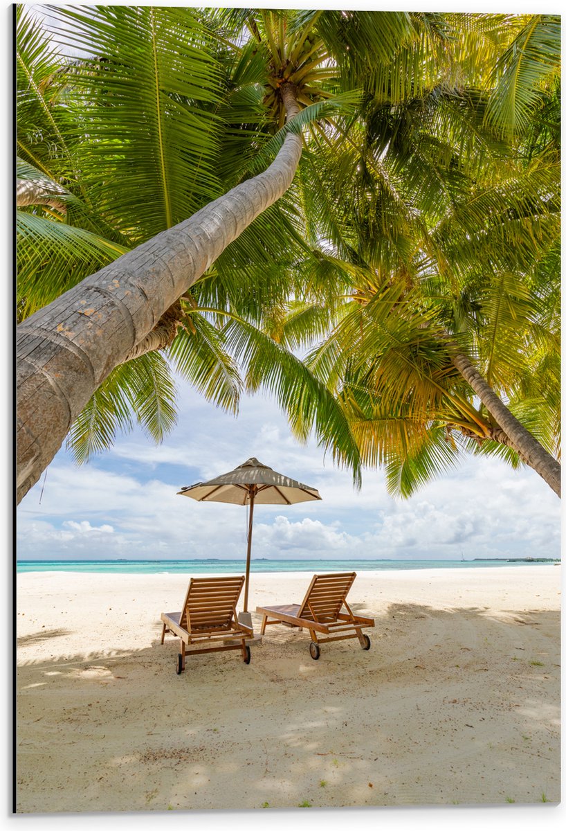 Dibond - Schuingroeiende Palmboom boven Ligbedden en Parasol op het Strand - 40x60 cm Foto