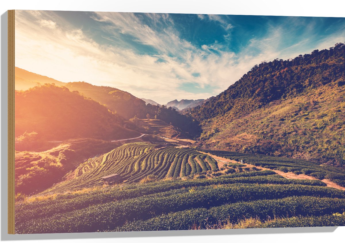 Hout - Sluierbewolking over Natuurrijk Landschap - 90x60 cm - 9 mm dik - Foto op Hout (Met Ophangsysteem)