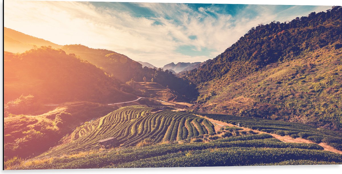 Dibond - Sluierbewolking over Natuurrijk Landschap - 100x50 cm Foto op Aluminium (Met Ophangsysteem)