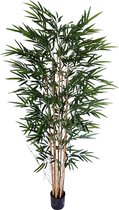 Kunst Bamboe Plant - 220cm - Namaak Bamboe Kamerplant