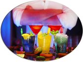 Dibond Ovaal - Diverse Cocktails met Stukjes Fruit - 68x51 cm Foto op Ovaal (Met Ophangsysteem)