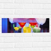 Muursticker - Diverse Cocktails met Stukjes Fruit - 60x20 cm Foto op Muursticker