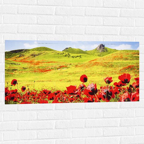 Muursticker - Groep Rode Bloemen in Heuvellandschap - 100x50 cm Foto op Muursticker